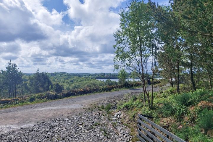 Tully Commons, Castlebar, Co. Mayo