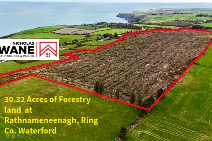 Rathnameneenagh, Ring, Co. Waterford
