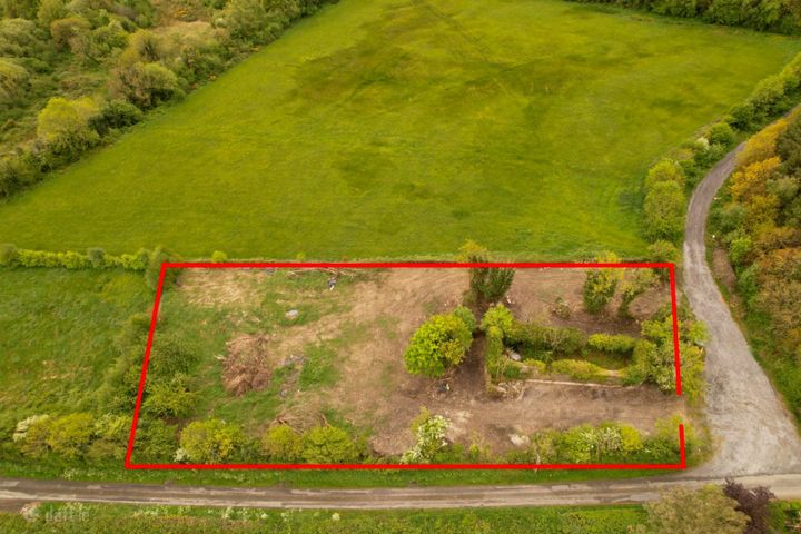 Knockardagur Spink Abbeyleix Co Laois, Spink, Co. Laois
