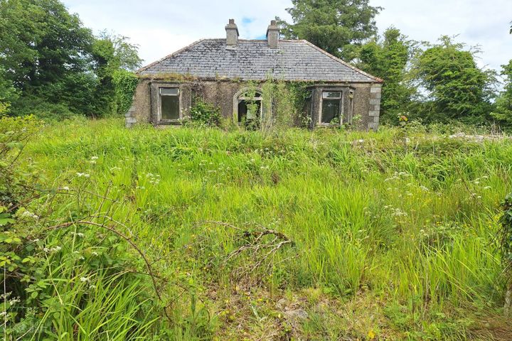 Barnagurry, Kiltimagh, Kiltimagh, Co. Mayo, F12R252