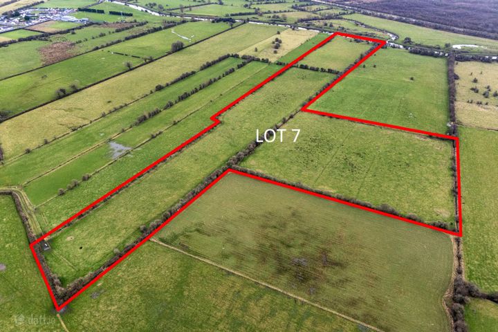 Lot 7 (c. 26 Acres), Lemanaghan, Ballycumber, Co. Offaly