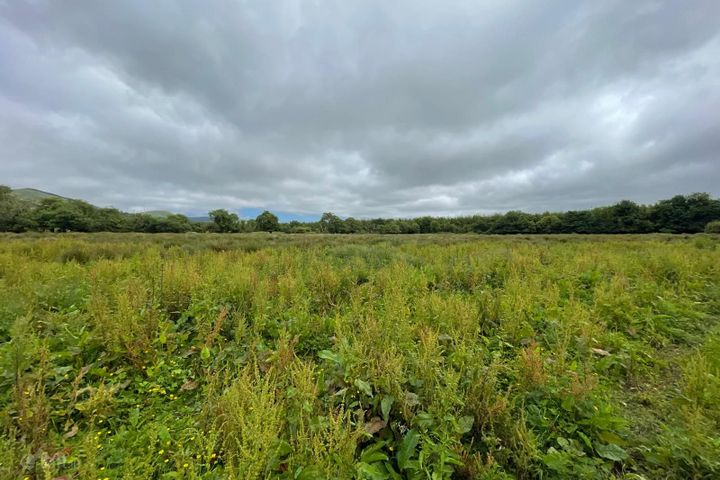 Leith West, Tralee, Co. Kerry