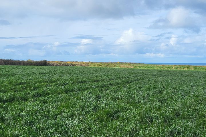 Drumnacurra, Causeway, Co. Kerry