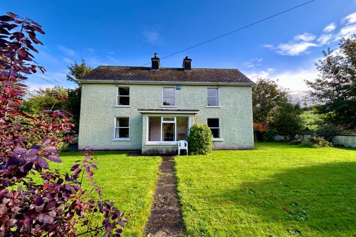 Spencer Harbour, Carrick-on-Shannon, Co. Leitrim, N41R688