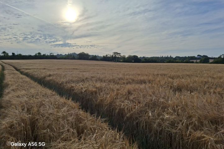 Rathdaniel , Collon, Co. Louth