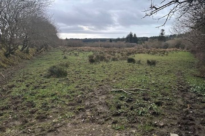 c.4.31 Ac. Tureenamult, Gneevguilla, Co. Kerry