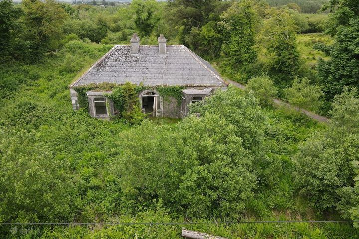 Barnagurry, Kiltimagh, Cloonfallagh, Co. Mayo, F12R252