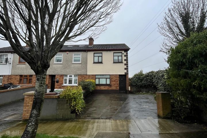 Wood Avens, Clondalkin, Dublin 22