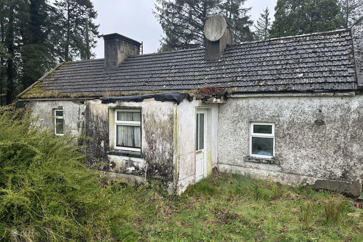 Derreenavoggy, Aughnacliffe, Co. Longford, Longford