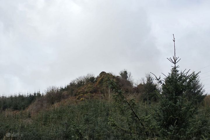 Caherdowney, Millstreet, Co. Cork