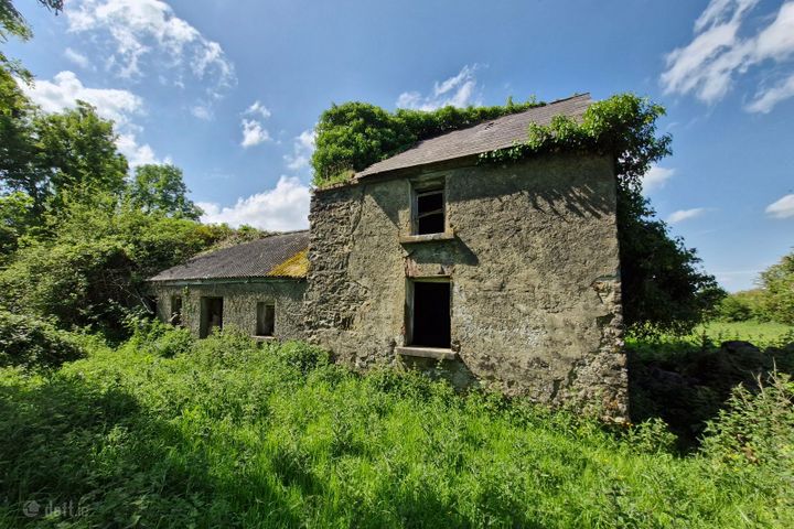 Terelicken, Ballymahon, Co. Longford