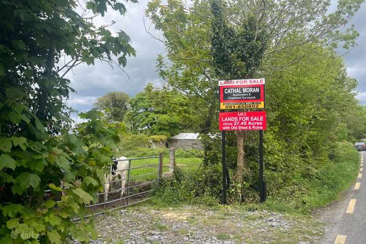 Windfield Upper , Menlough , Ballinasloe , Menlough, Co. Galway