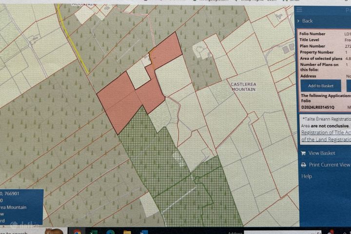 Castlerea Mountain, Moydow, Co. Longford