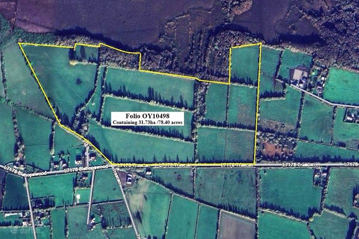 Trascan, Portarlington, Portarlington, Co. Offaly