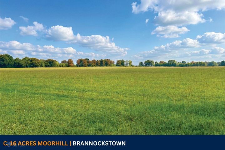 c. 16 Acres, Moorhill, Brannockstown, Naas, Co. Kildare
