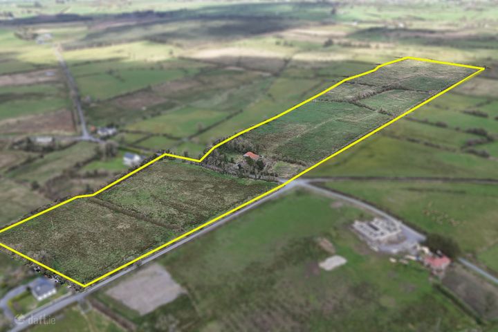 25 acres (approx.) at Ballyroddy, Elphin, Co. Roscommon