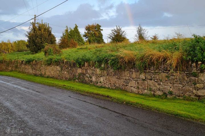 C.23.3 Acres Agricultural Land at Stampspark ,Station Road, Thomastown, Co. Kilkenny