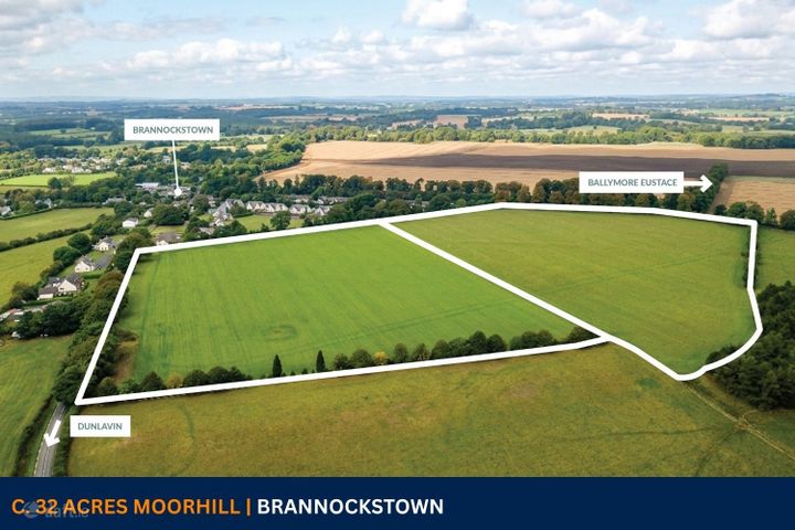 c. 32 Acres, Moorhill, Brannockstown, Naas, Co. Kildare