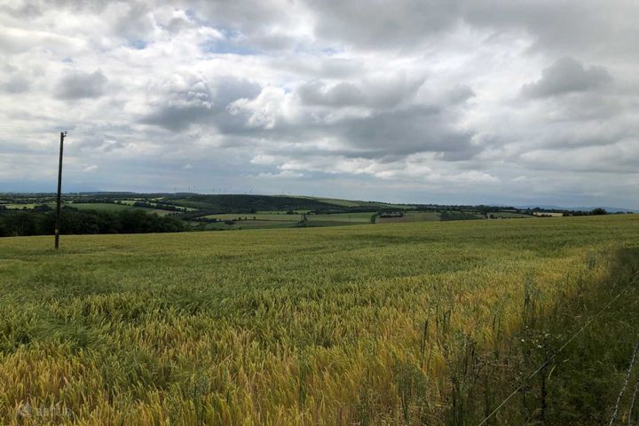 Cathaganstown, Killenaule, Co. Tipperary