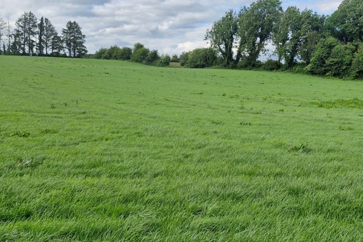 Pollatlugga, Cappataggle, Ballinasloe, Rooaun, Co. Galway, H53KX01