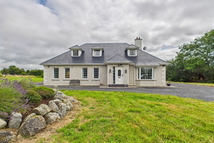 Newtownpilsworth, Athy Road, Carlow, Maganey, Co. Kildare, R93C7K6