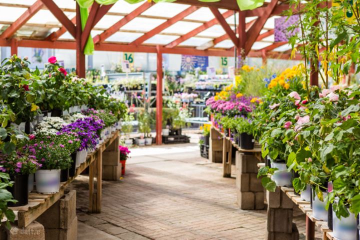 Frascati Centre, Blackrock, Co. Dublin