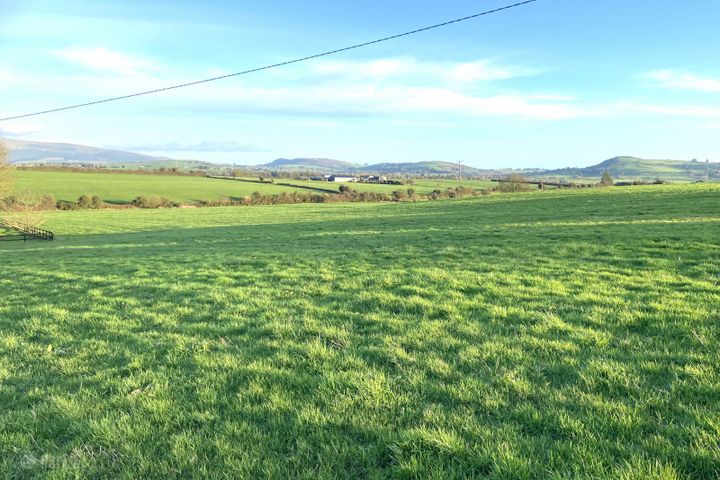 Tully, Kilmallock, Co. Limerick