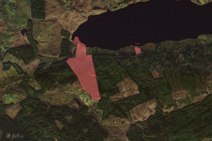 c. 59 ac Forestry & Agri Land, Doolough, Mullagh, Co. Clare