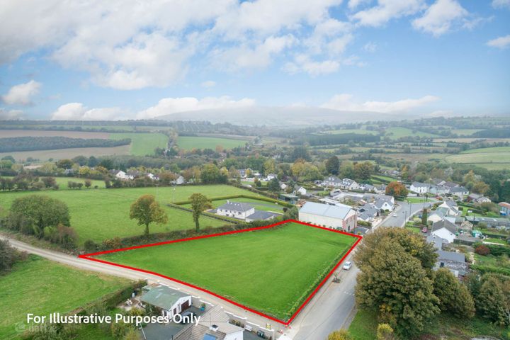 Coolboy, Co. Wicklow, Y14D761