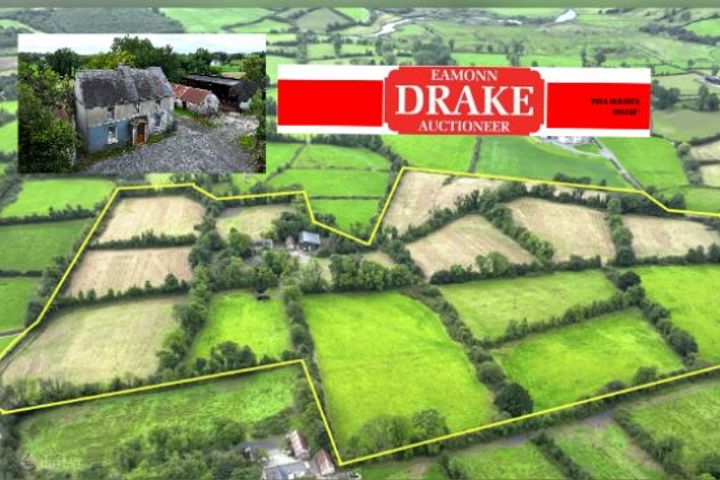 Dingins, Lough Gowna, Co. Cavan