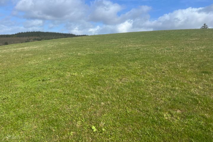 Gaddenbeag, Ballygawley, Co. Sligo