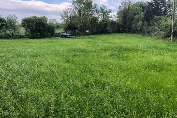 Lurriga, Patrickswell, Co. Limerick