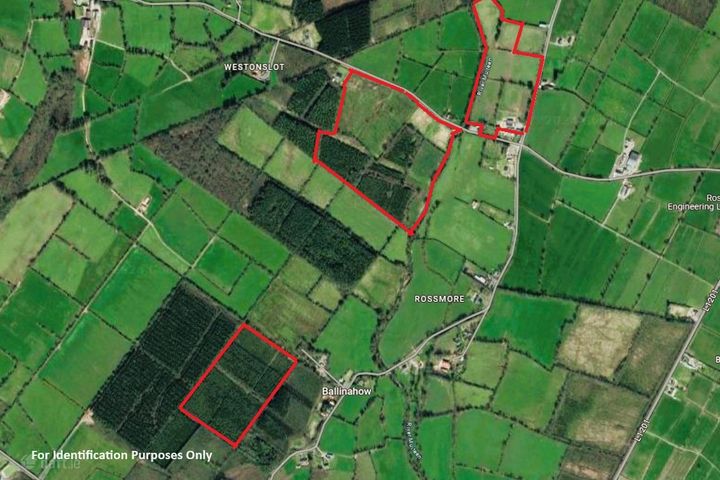 Lands Rossmore, Cashel, Co. Tipperary