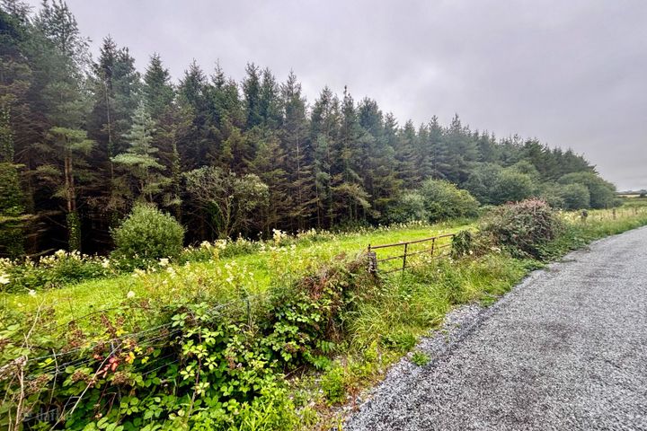 Gortagarraun, Dunmore, Co. Galway