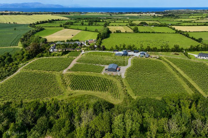 Fairy Trees Winery, Willistown, Drumcar, Drumcar, Co. Louth, A92X22E