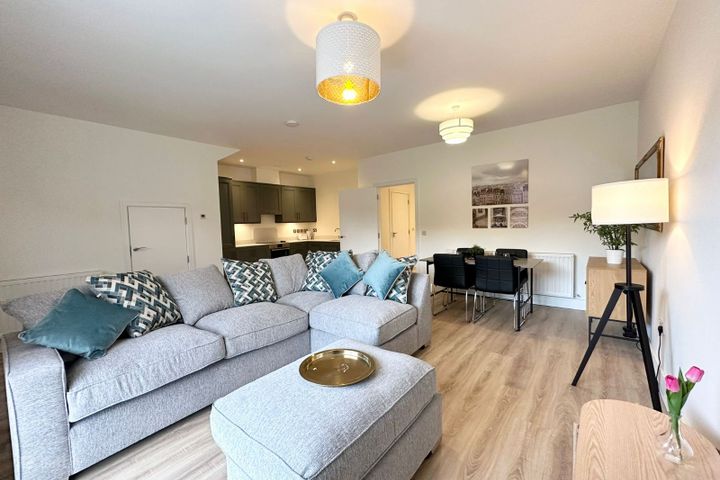 Mercer View, Mercer Vale, Cherrywood, Dublin 18