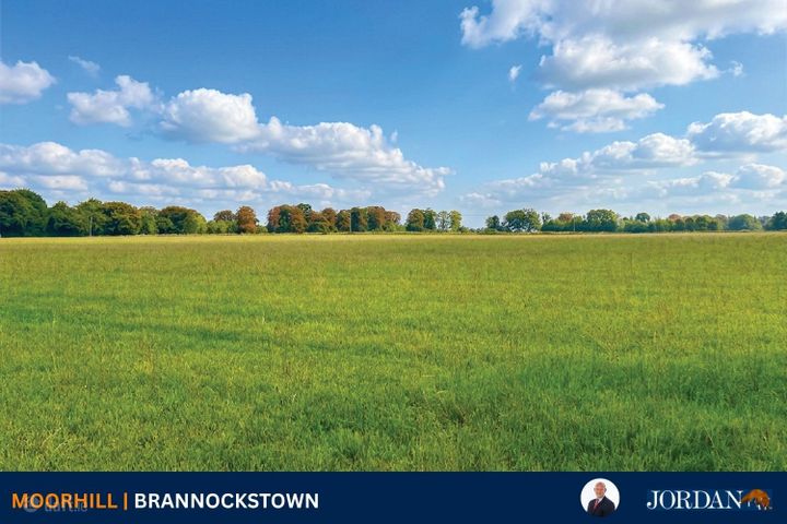 c. 16 Acres, Moorhill, Brannockstown, Brannockstown, Co. Kildare