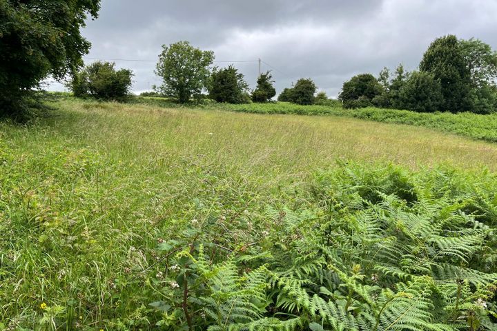 Ballinavally, Castlewarren, Co. Kilkenny