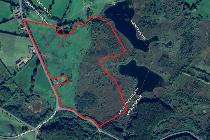 Tonashammer, Castlepollard, Co. Westmeath