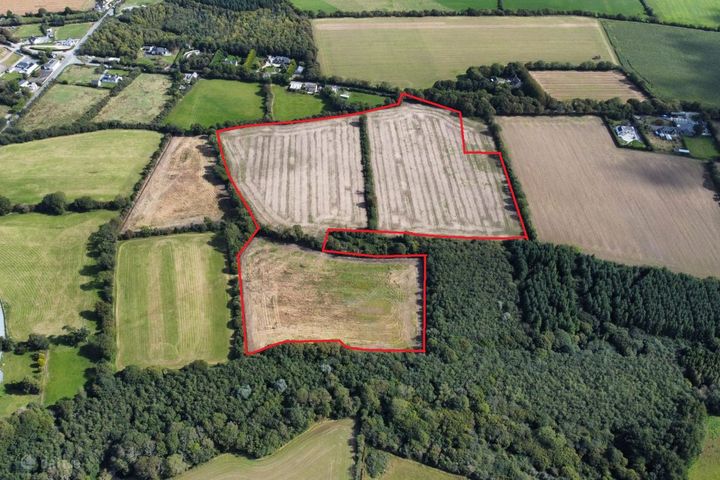 c. 26 Acres Holding at Tullycanna, Ballymitty, Co. Wexford
