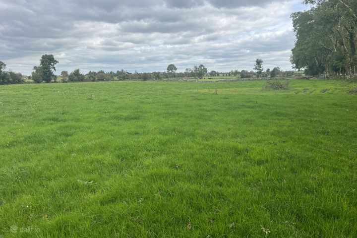 Belleville, Monivea, Co. Galway