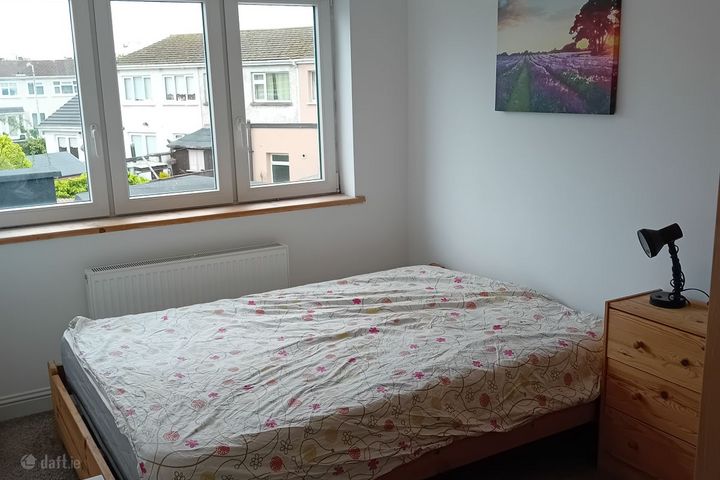 Springfield , Tallaght, Co. Dublin