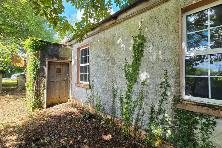 Lumcloon, Cloughan, Co. Offaly, R42A996
