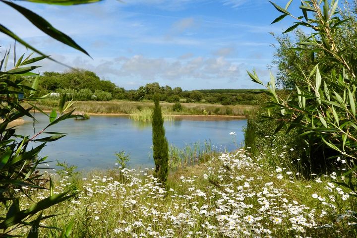 Pembrokestown, Duncormick, Wexford, Knocktown, Co. Wexford, Y35K2P4