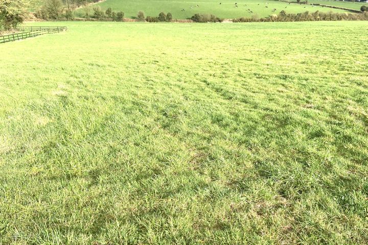 Tully 35 HT67, Glenroe, Co. Limerick