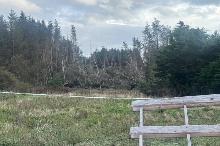 Ballytarsna, Kilshanny, Co. Clare, V95AEH5