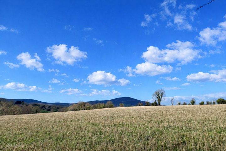 Garraun Upper (C. 87 Acres), Rathnure, Enniscorthy, Co. Wexford