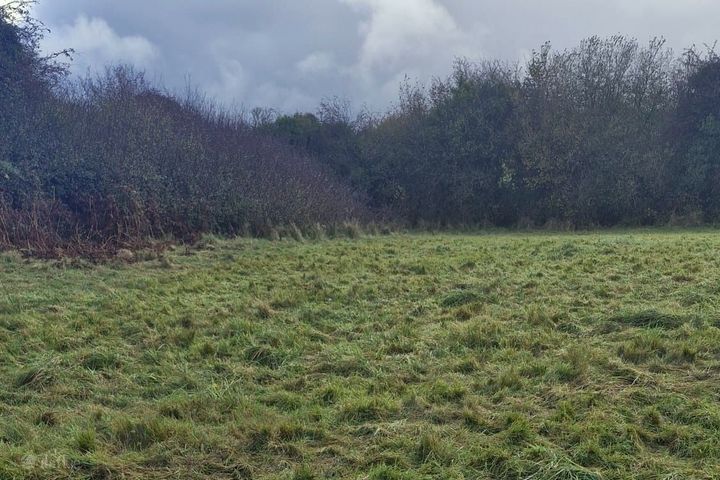 Derryfrench, Loughrea, Tynagh, Co. Galway