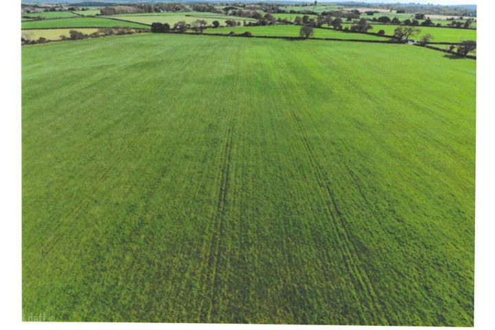 C. 38 Acres Meadow, Ballintubber, Castlerea, Co. Roscommon