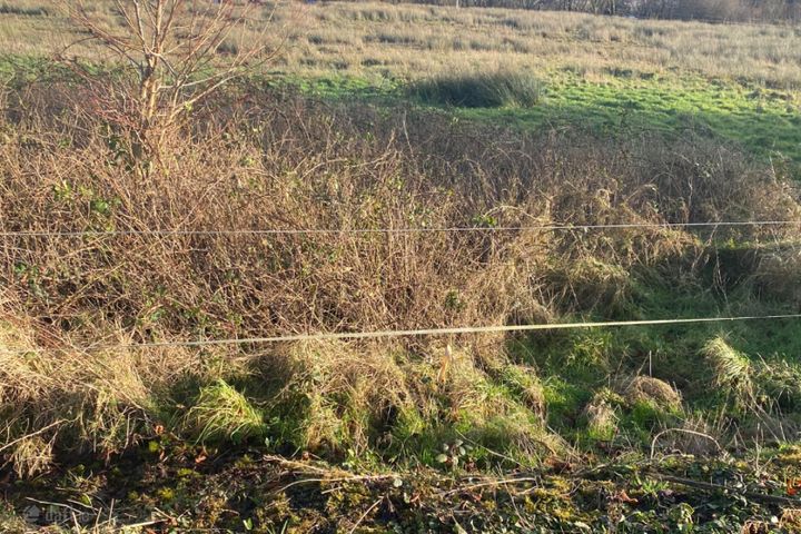 Hawthorn Avenue, Castlebar, Co. Mayo